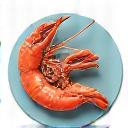 瑞々しいエビとカニのイラスト。清潔感のあるデザイン。